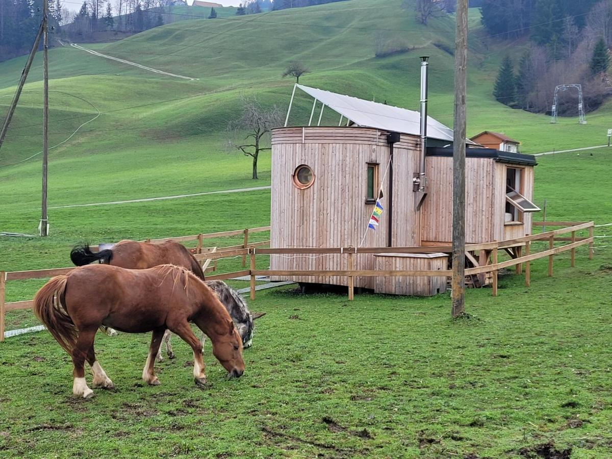 Beaver Creek Ranch Alojamento de Turismo Rural *
