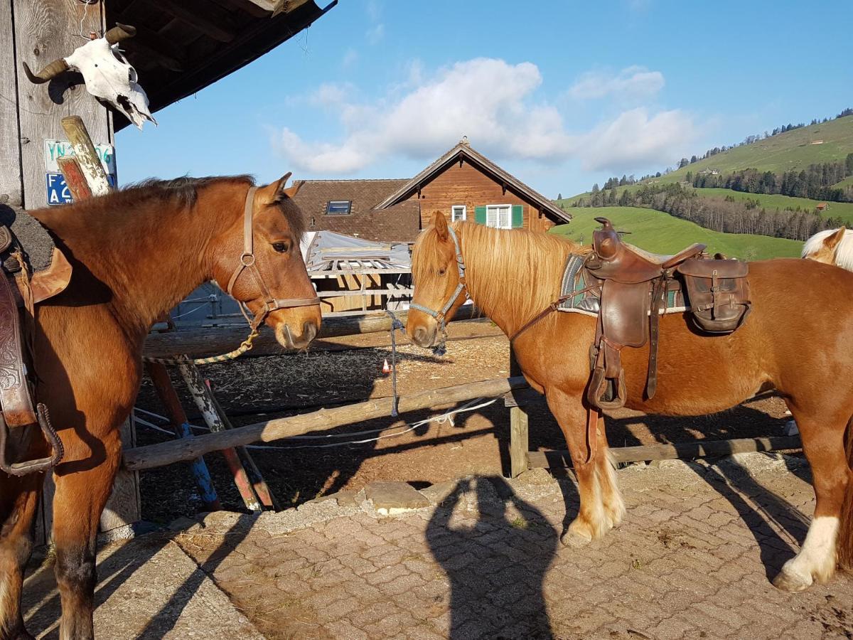 Beaver Creek Ranch Alojamento de Turismo Rural Rothenthurm